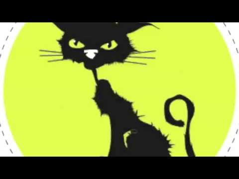 9 Lives the Cat 'Bouncing off the walls' Rogue Element remix WST010