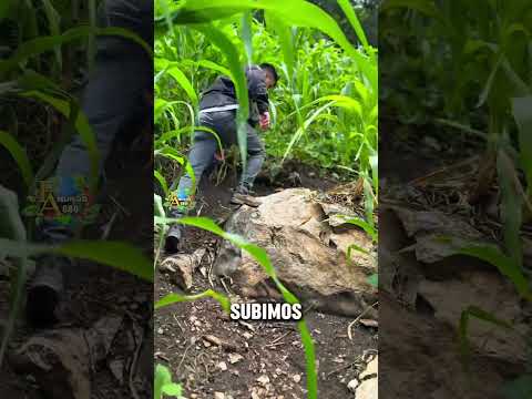 Existe la VIRGEN al filo de uno de los 2 cerros del Boquerón, San Pedro Necta Huehuetenango 🇬🇹