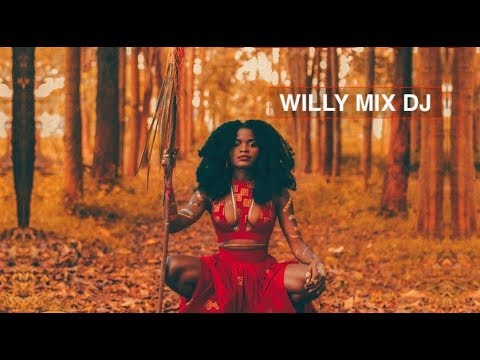 VERSION 2 :  BIKUTSI CAMEROUN   WILLY MIX VIDEO 2019