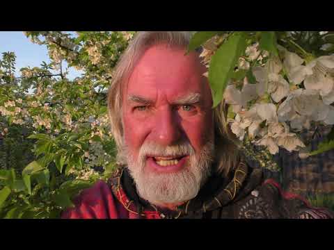 kanukassel-TV: STRATEGIE bei CORONA-Pandemie Clip 35 PENNER-Lager unterm STERNENHIMMEL