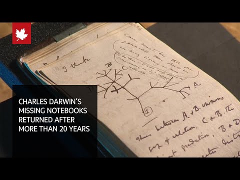 Missing Charles Darwin notebooks anonymously returned