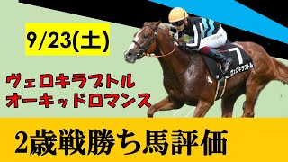 【9月23日勝ち上がり馬評価】ヴェロキラプトルが圧巻差し切りで2勝目！