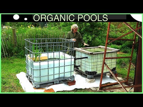 Organic Pool with separate planted zone - featuring floating plant islands