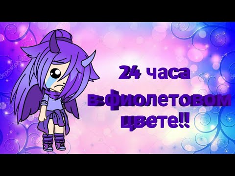 ~24 часа в фиолетовом цвете~