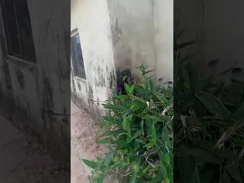3-Bedroom Flat on Half Plot for Sale at Rainbow, Ijegun-Ijagemo, Lagos