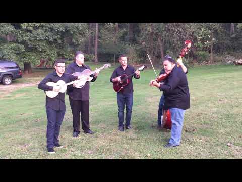 Gypsy Stringz 2020 - Joj Mamo, Bokhali Som & Aven Romale