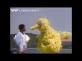 Sesame Street Big Bird Learn How To Swimming Lessons