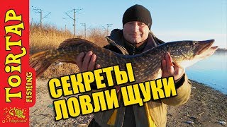 Ссылка