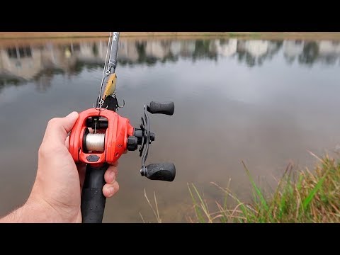 Bank Fishing An Urban Pond (LOADED w/ HUGE BASS) Video