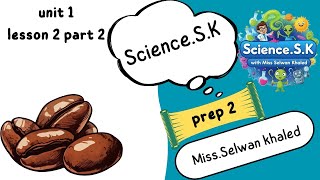 Science – Prep 2 – Unit 1 – Lesson 2  part 2  Change  States of Matter