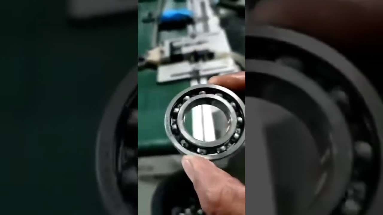 6006 C3 Z3 Deep Groove Ball Bearing with G10 Balls