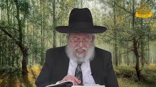 דף היומי בחצי שעה – בבא מציעא דף ק”ג