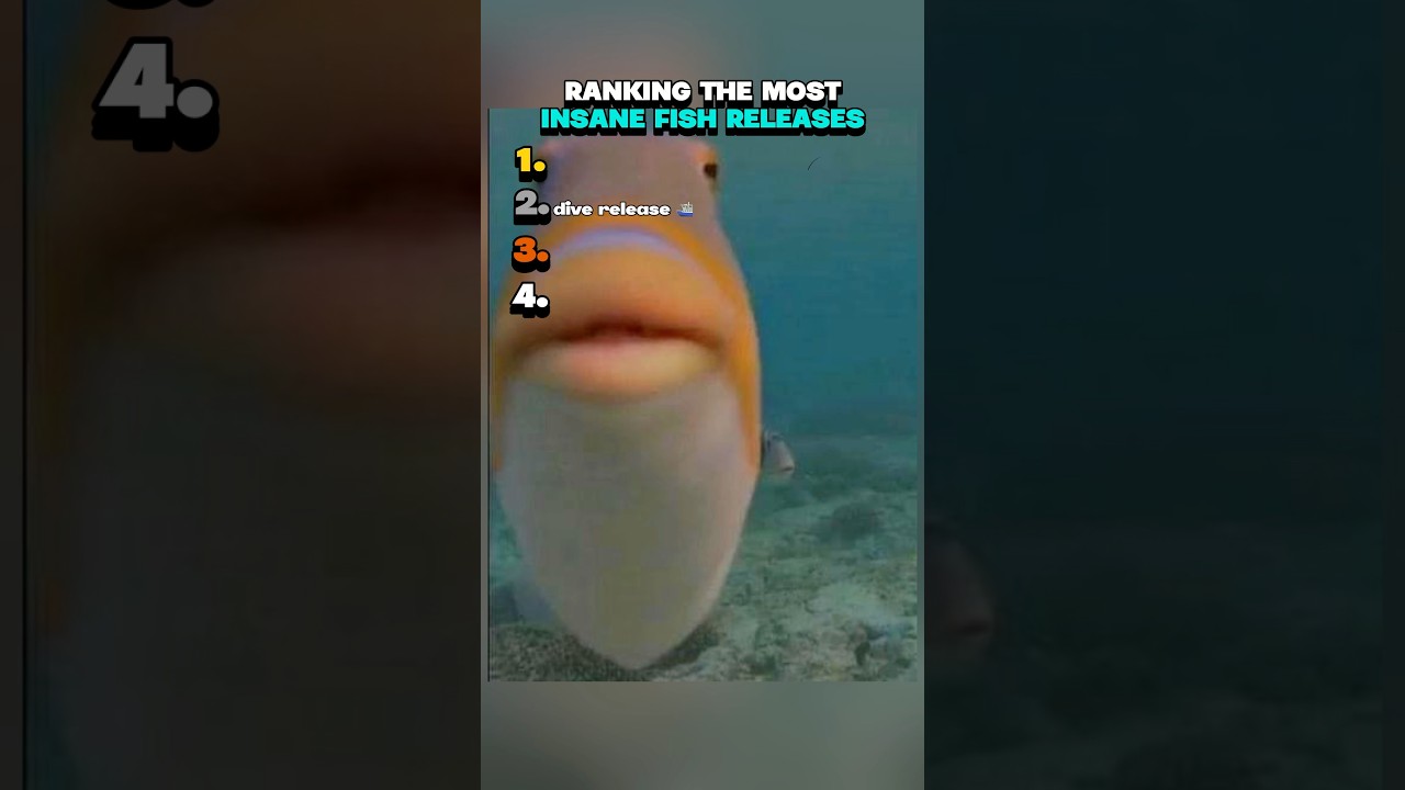Ranking Most Insane Fish Releases 🚤 #ranking #funnyvideo