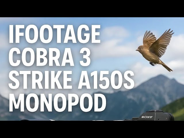 Vídeo relacionado con IFOOTAGE Cobra 3 A150S Strike Monopod,Monopod de Cámara con Control de Bloqueo de Pedal,Ajuste Rápido de Altura en un Solo Paso,Monopié de Fotografía Profesional Adecuado para Cámaras SLR