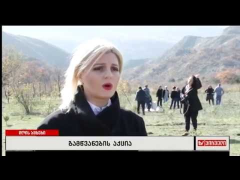 მცხეთა-შიომღვიმის გზის მიმდებარედ გამწვანების აქცია გაიმართა