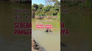 Download lagu Kata kata bijak tentang keyakinan ayah #viral #quotes #katamotivasiislam #storywa #trending mp3