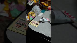 パンドラRCのAE86レビン3ドア塗装完了