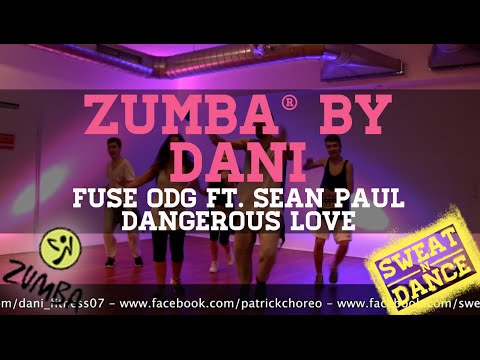 Zumba - Dangerous Love by Dani