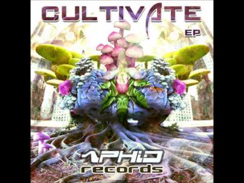 Aphid moon & Contineum - Cultivate EP 2012