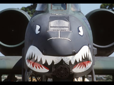 𝑩𝒓𝒖𝒕𝒆 𝑭𝒐𝒓𝒄𝒆: Tank Busters