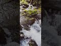 Nadhiye Nadhiye Kadhal Nadhiye Rhythm Natural Song Fullscreen Whatsapp Status