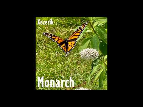 Xezerik - Monarch || Lofi Chill Beats FULL ALBUM ||chill lofi to study, sleep, relax 432hz
