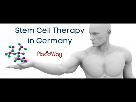 Improve Your Immune System with Stem Cells in Germany