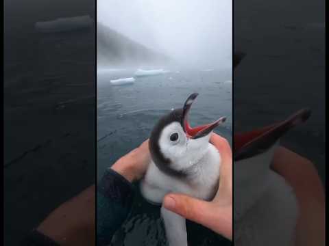 She run the moment it happened