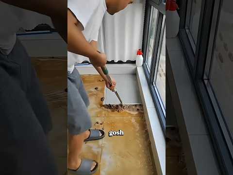 She Thought He Pooped on the Floor! 💩🧹😆