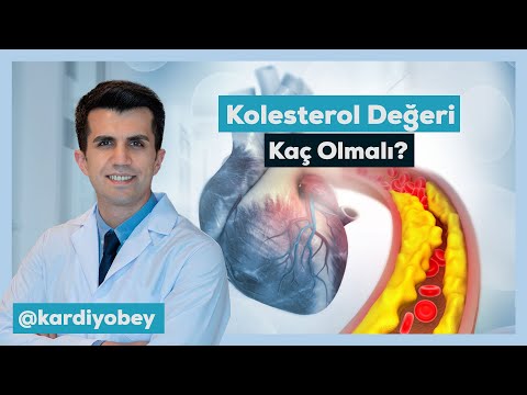 Kolesterol Değerleri Nasıl Olmalı? İzleyin ve Değerlerinizi Kontrol Edin!
