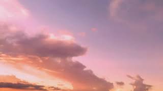 willie nelson woman&#39;s love