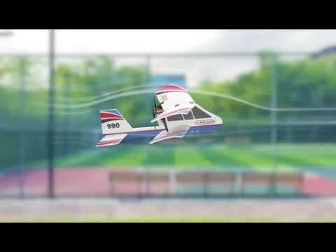 Pure Toy - 2.4G RC MINI GLIDER WITH LED LIGHT