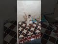 Tante Live Sambil Pijat