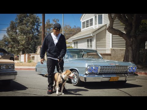 Mekhi The Great - SUMMERTIME SUNSET (Directed by @authentic_henry)