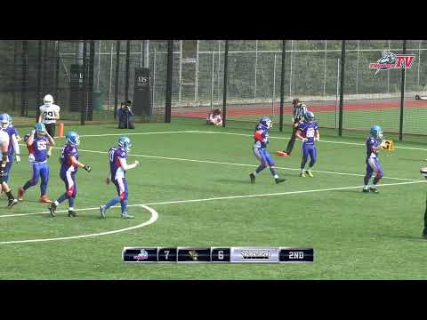 ST22   Sussex Thunder vs London Hornets - Highlights