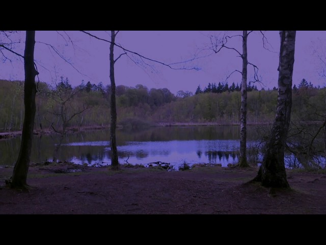 Myrkur - Tv Konungabarn (Single)