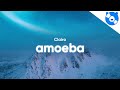 Clairo - Amoeba (Lyrics)