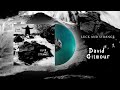 David Gilmour Luck And Strange Official Audio