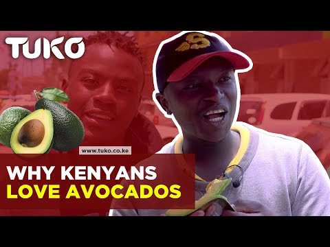 Kenya News Today: Why Kenyans Love Avocados | Tuko TV