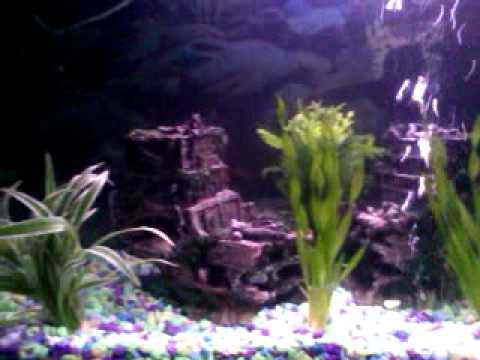 video-2011-09-01-22-27-06