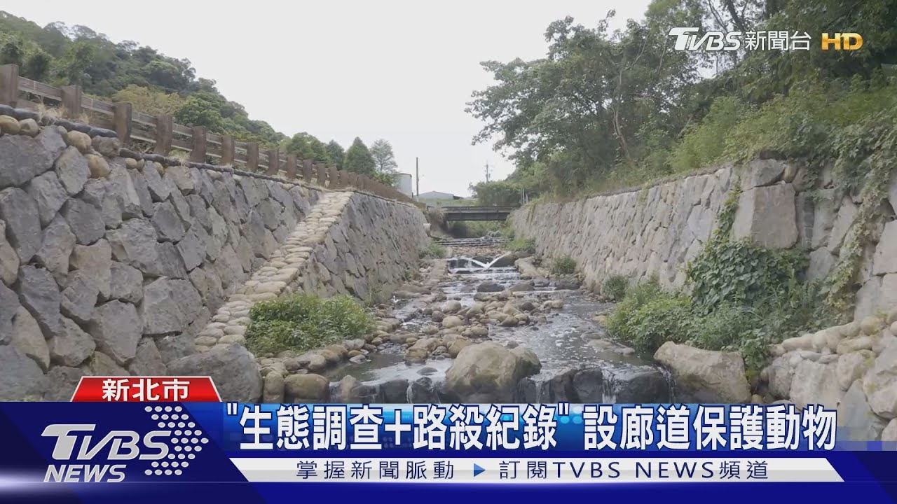 以「農業健康」出發　結合綠美學翻轉城市