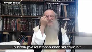 תורת החסידות בנושא חסידות חב״ד   להחדיר אמונה בשכל גשמי, חלק ז' שנת תשפ"א