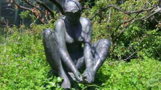 The years in the forest