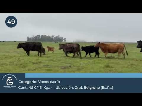 Lote VC C/ Cría Gral Belgrano Bs As