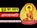 Anapansati Guided Meditation | आनापानसति ध्यान 25 Mins| Peeyush Prabhat