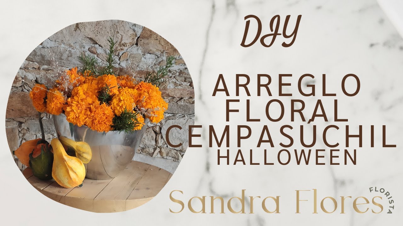 Watch DIY Arreglo floral 🌺cempasúchil Día de Muertos Flower arragement 🌺cempasúchil and rosemary Halloween Now DIY Arreglo floral 🌺cempasúchil Día de Muertos Flower arragement 🌺cempasúchil and rosemary Halloween