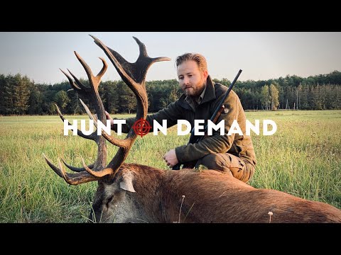Hirschbrunft in Polen 2020 - Huntingroom Hunt on Demand Trailer