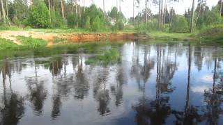 Рыбалка в рощино ленинградской области ижс