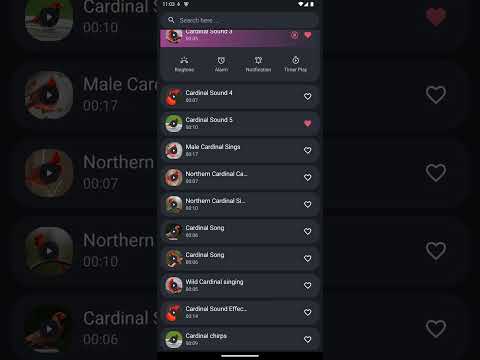 Cardinal Sounds Video