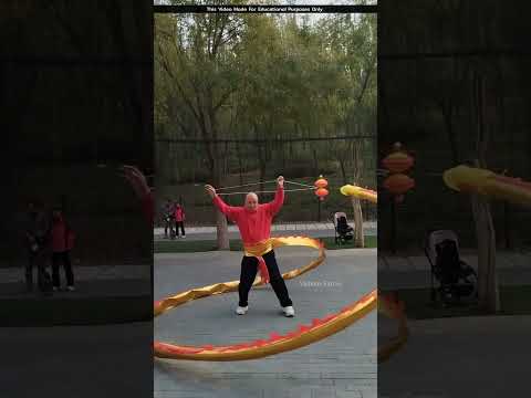 Japan's famous big kite #shortsvideo